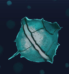 Bioluminescent Dinoflagellate Bioluminescent Dinoflagellate
